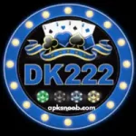 DK222 Game Image